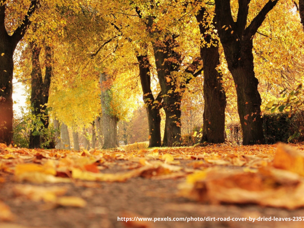 Life is all about moving on and letting things go!