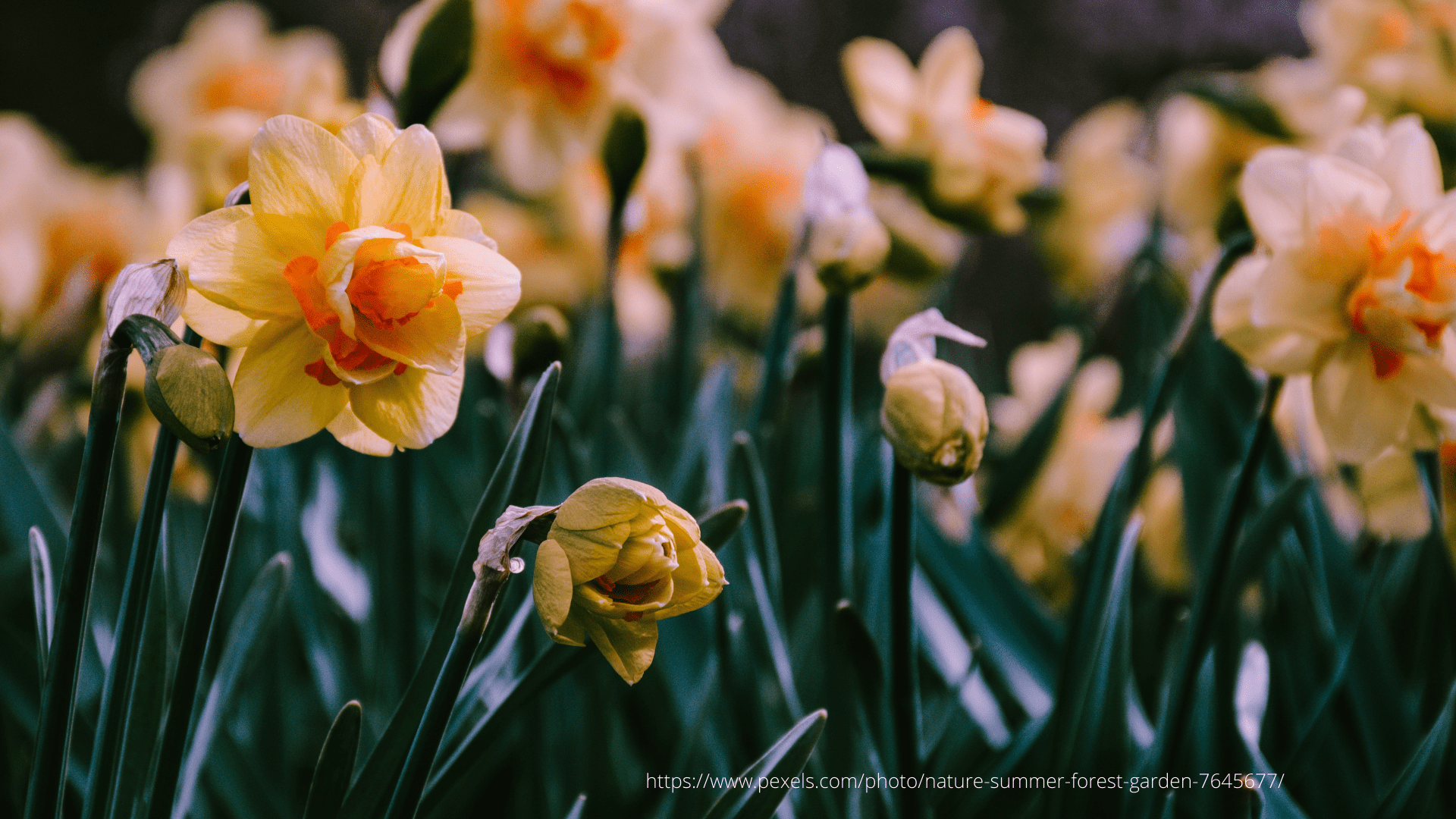 Warmest and Positive Easter Greetings 2022 to all our invaluable Customers!